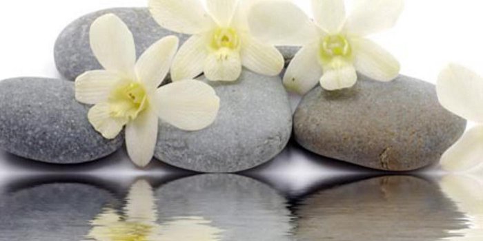 1400x959 New Flower Wallpaper Group (49+), Download for free