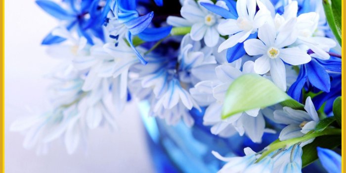 1970x1130 New Flower Wallpaper Group (49+)