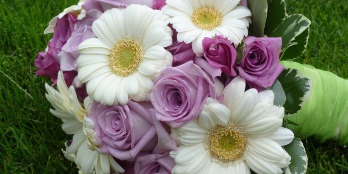 1920x1080 New Flower Wallpapers Download (8) Desktop Background