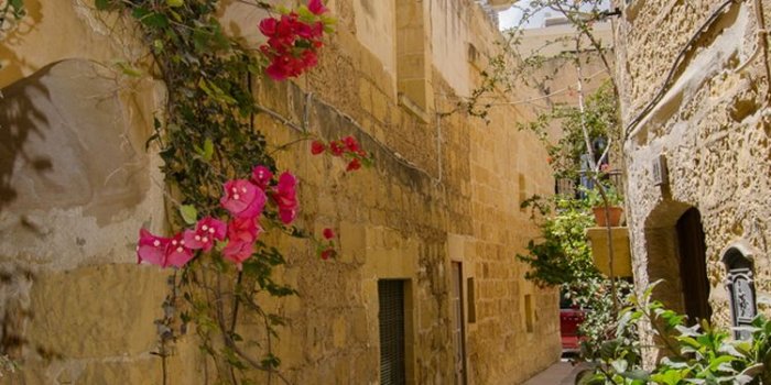 750x1334 Old City Alley Flowers iPhone 6 Wallpaper HD - Free Download