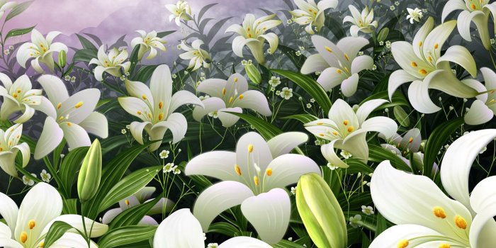 1440x900 43+] White Lilies Wallpaper on WallpaperSafari