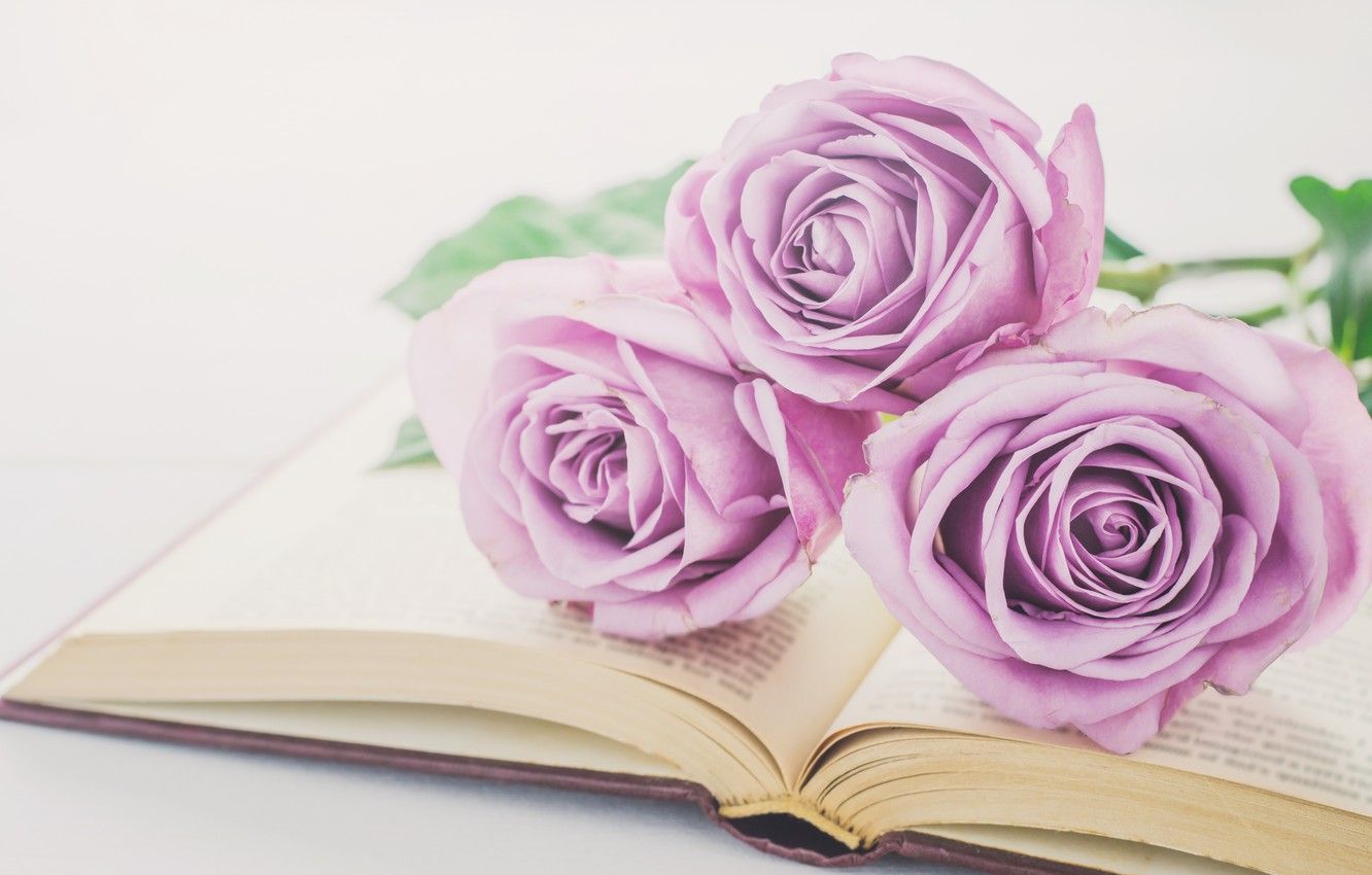 1332x850 Wallpaper flowers, roses, bouquet, book, love, vintage, flowers