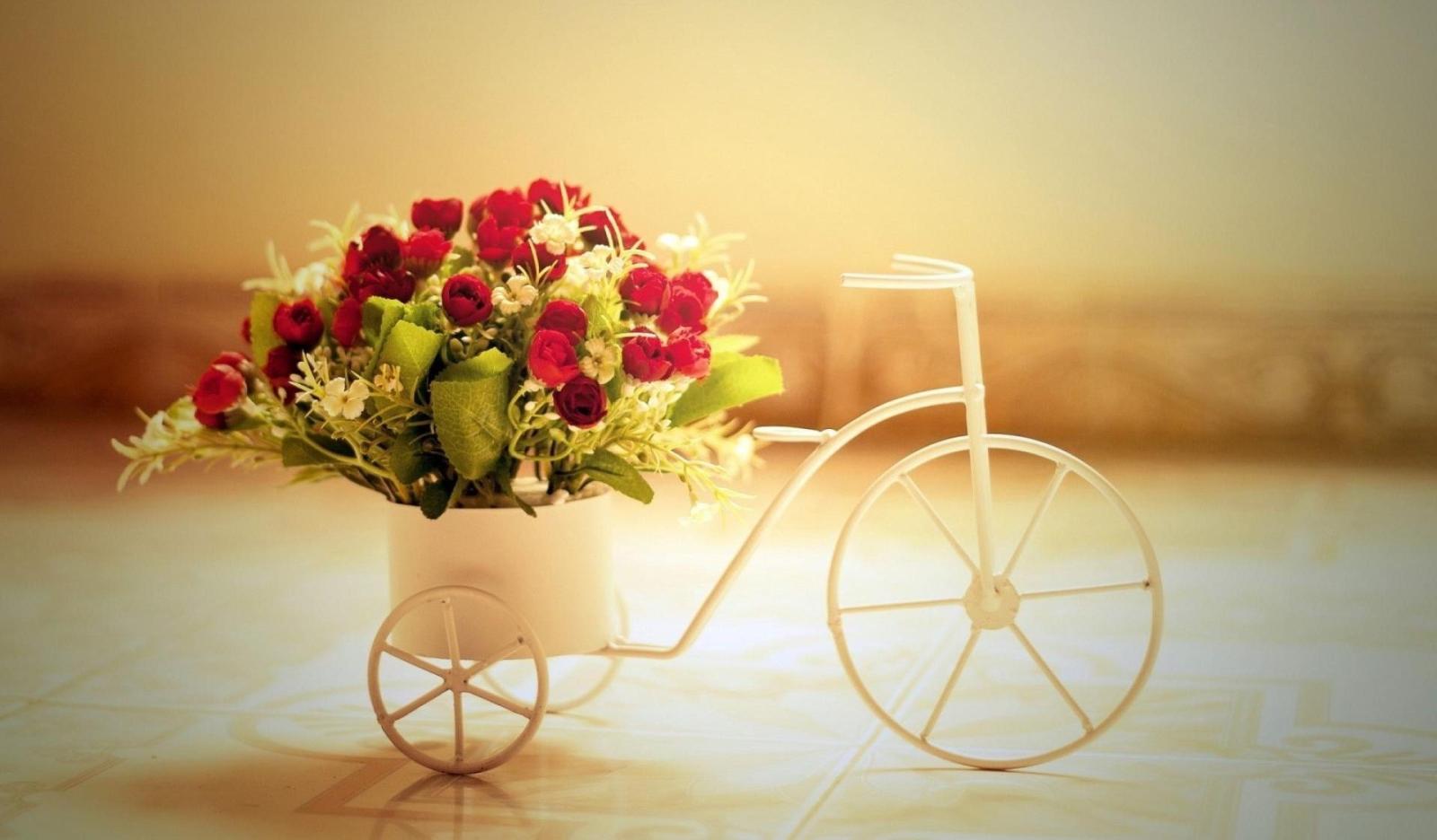 1920x1124 Romantic roses bicycle wallpaper Gallery