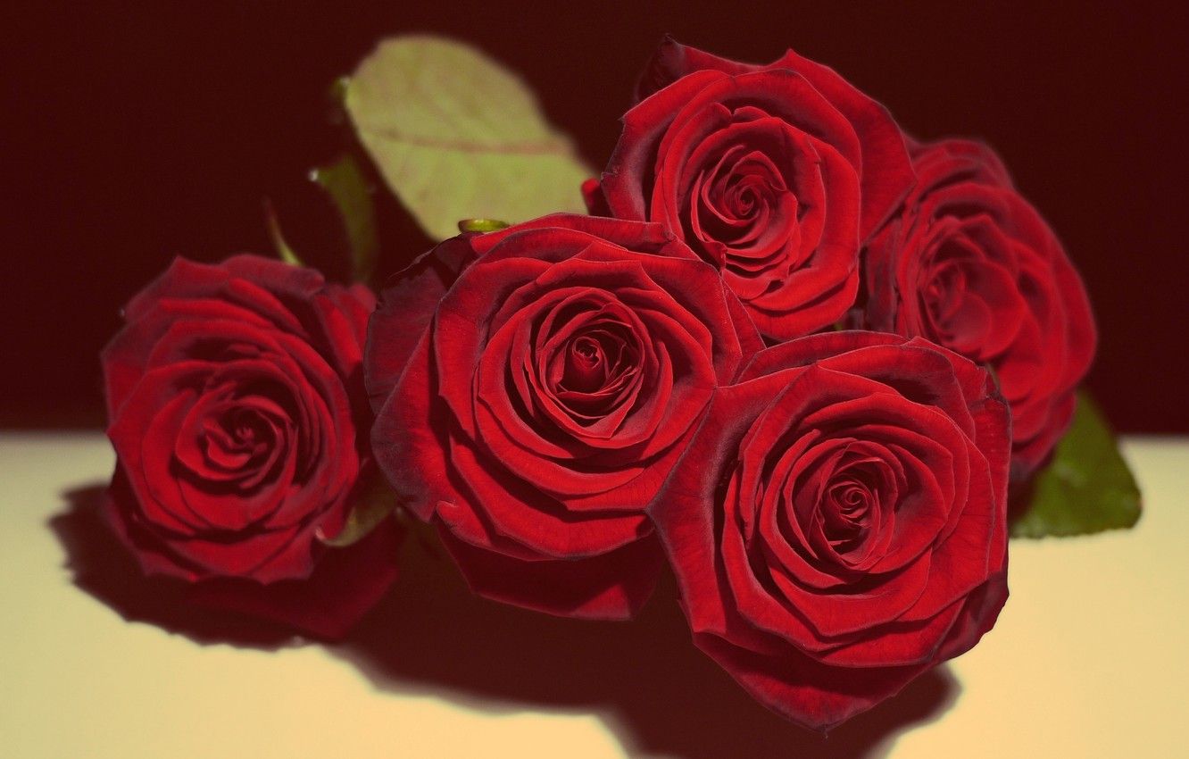 1332x850 Wallpaper Love, Beautiful, Flowers, Roses, Vintage, Valentine's Day