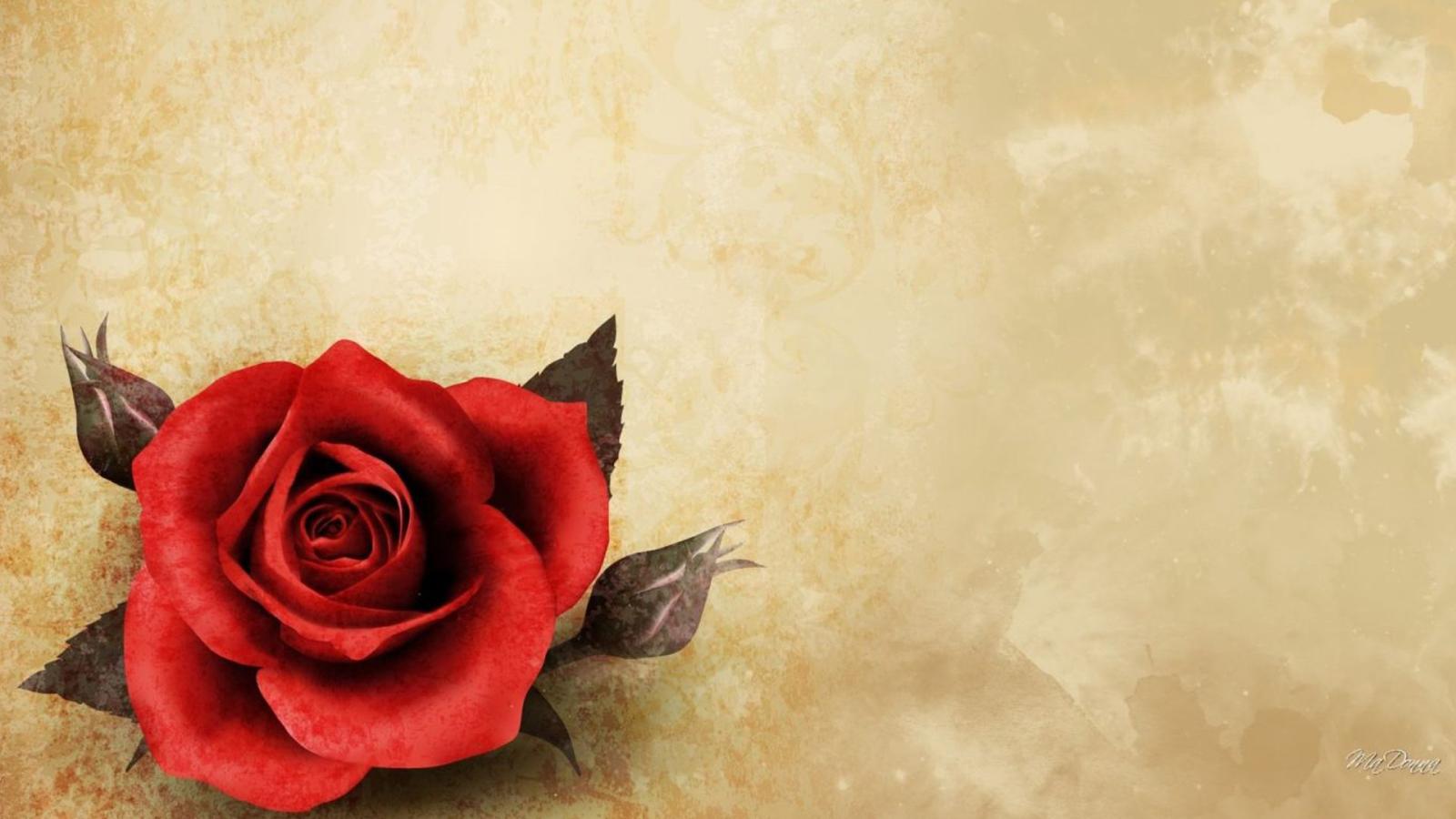 1920x1080 Top 25 Pictures Of Red Roses - #11 - for Vintage Wallpaper - HD