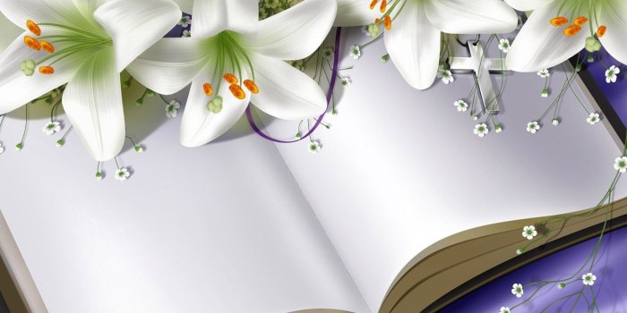 1280x800 White Lily Flower wallpaper | 1280x800 | #51925