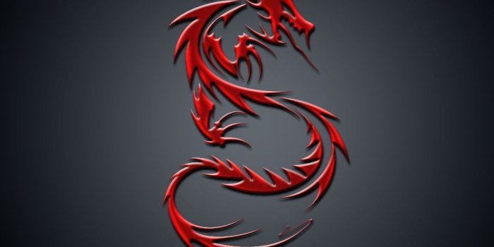 1024x768 dragons | dragons-wallpaper | dragons in 2019 | Dragon pictures