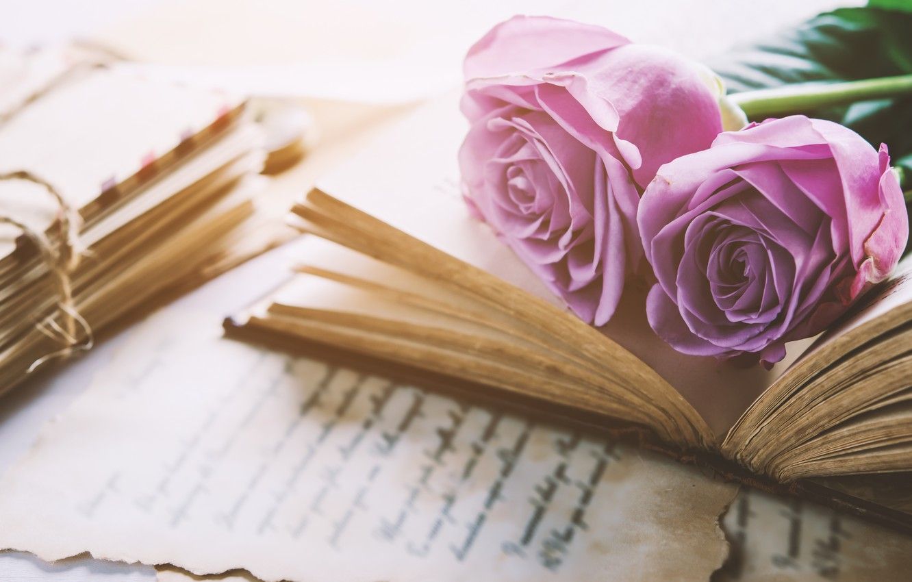 1332x850 Wallpaper flowers, roses, bouquet, book, love, vintage, flowers