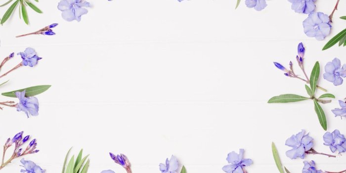 1332x850 Wallpaper flowers, background, frame, purple, flowers, violet, frame