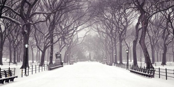 1024x768 hecallsmeStatuary Walk, Central Park, New York City, New York