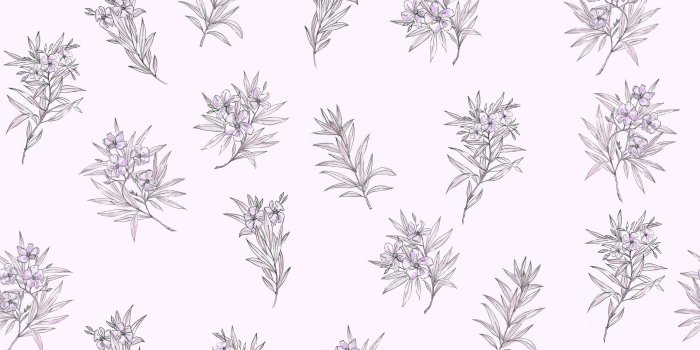 1200x1097 Daphne (purple)