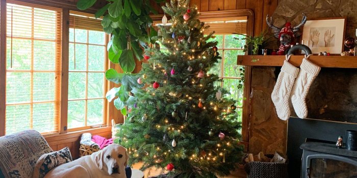 1536x2048 Holiday Wallpaper Projects in 10 Minutes or Less | Hygge & West