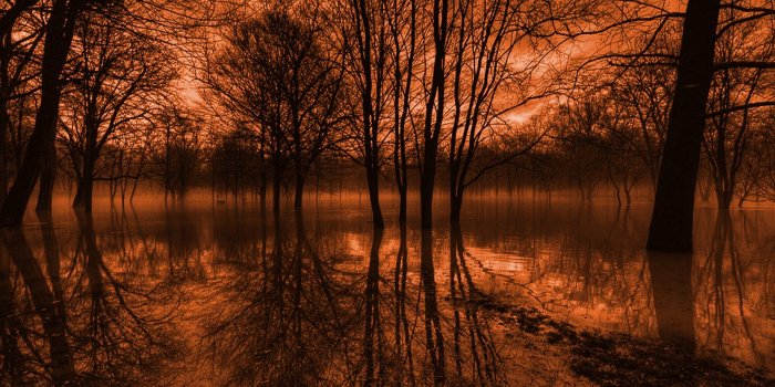 1920x1200 Hd Wallpaper - Dark Scenery Anime Backgrounds (#1097324) - HD