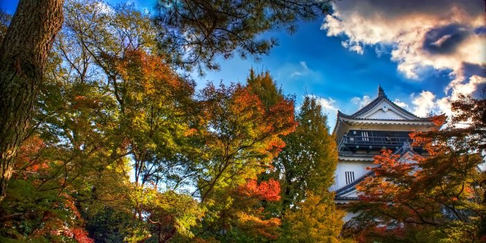 3840x2160 Japanese Castle, Autumn ❤ 4K HD Desktop Wallpaper for 4K Ultra HD