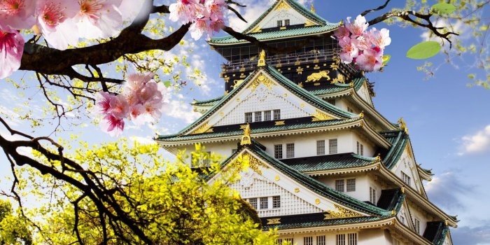 1332x850 Wallpaper castle, Japan, Sakura, flowering, Japanese, castle