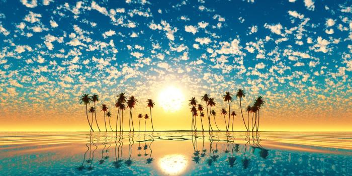 1920x1080 1920x1080 Palm Trees Reflection Sunset Laptop Full HD 1080P HD 4k