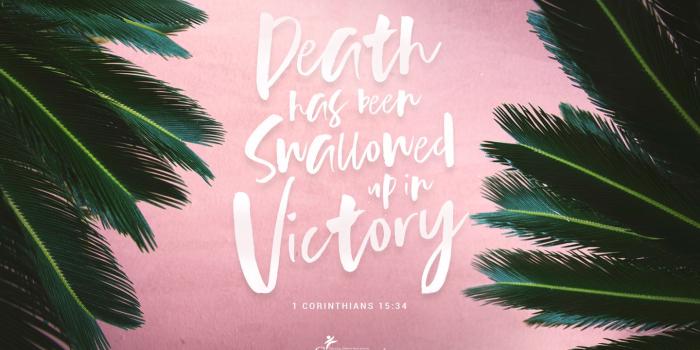 1440x900 Easter Wallpapers | Compassion Canada