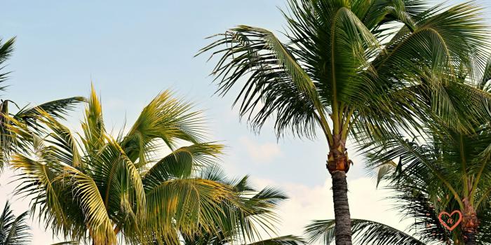 1920x1080 Freebies – The Boujee Blonde