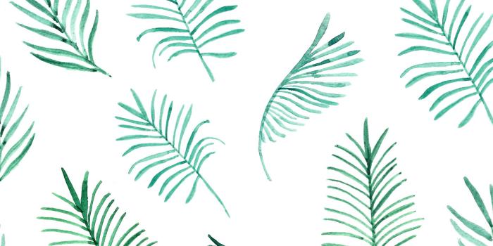 1856x1161 Springify Your Desktop - Encore & More