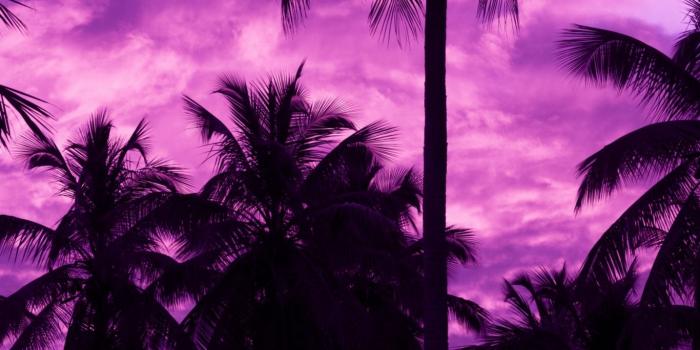 1366x768 Download wallpaper 1366x768 palm trees, sunset, tropics, purple, sky