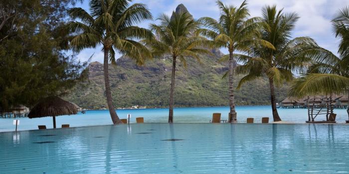 1366x768 Sea, Arecales, Palm Tree, Pool, Tropics Laptop Wallpaper, 1366x768