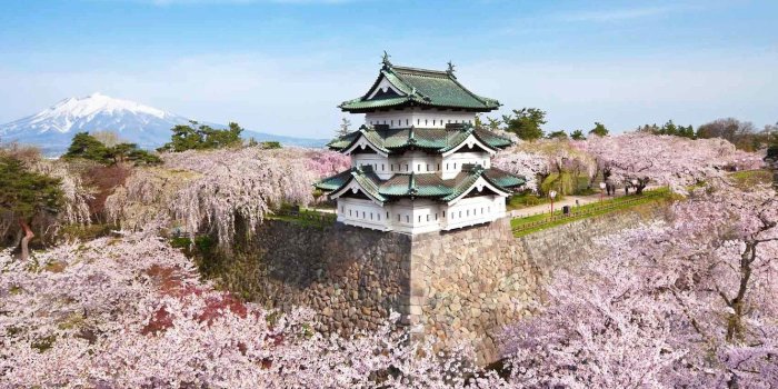 1332x850 Wallpaper castle, mountain, spring, Japan, Sakura, flowering