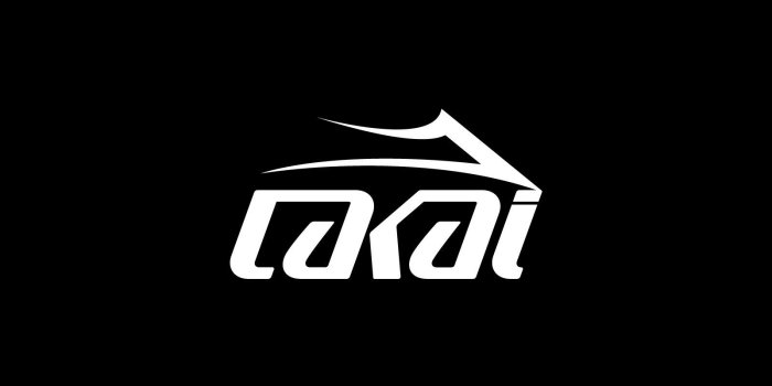 1600x1200 lakai logo | Logos | Logos, Shoes wallpaper, Cool logo
