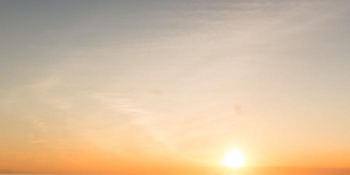 800x1420 Download wallpaper 800x1420 boat, skyline, sunrise, man, sky, sea