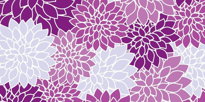 1280x1271 Floral,wallpaper,flowers,dahlia,purple - free photo from needpix.com