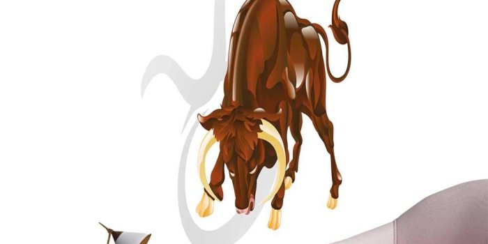 1000x1000 Amazon.com: Jaydevn Taurus Art Decor 3D Wall Mural Wallpaper