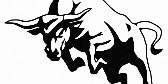 1023x775 Bull Images Free Group with 49+ items