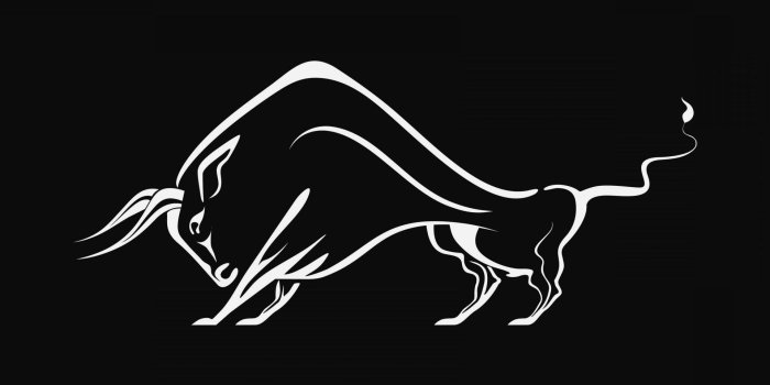 1920x1200 Bull Wallpapers