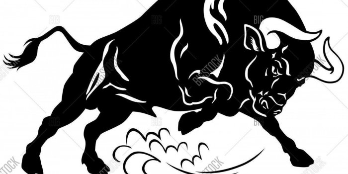 2160x1514 Buuls Face Vector | SOIDERGI