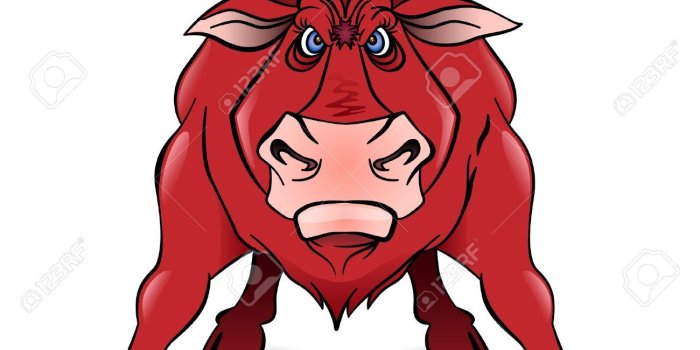 1300x1300 Images Of A Bull | Free download best Images Of A Bull on ClipArtMag.com