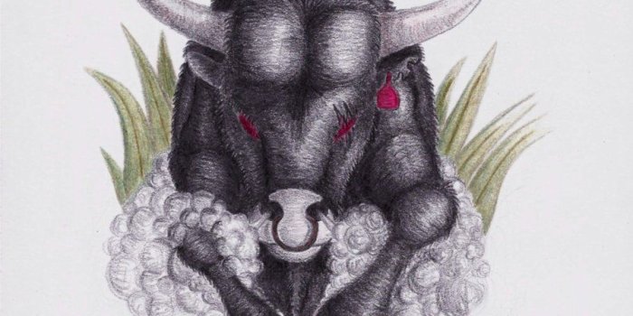 900x1278 Images of Angry Bull Wallpaper - industrious.info