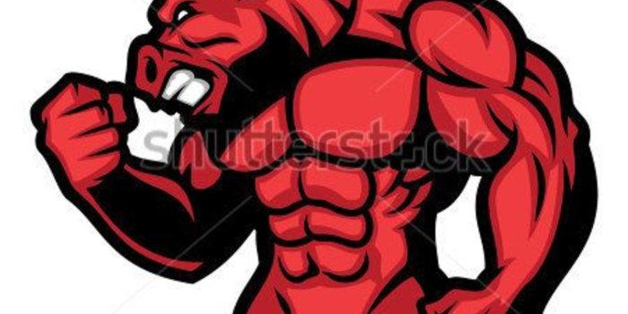 2155x1920 Top 25+ bull images HD Wallpapers