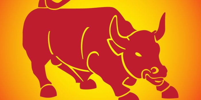 1024x768 Raging Bull