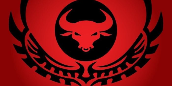 1024x768 Angry Bull Wallpaper Hd