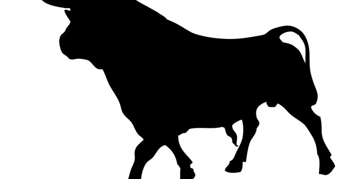 1920x1440 Free bull clipart PNG and cliparts for Free Download - Hddfhm