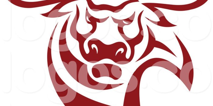 1024x1044 Bull Graphics Group with 61+ items