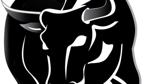800x1073 Free Bull Images Free, Download Free Clip Art, Free Clip Art on