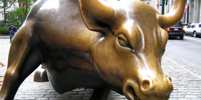 1600x1200 Free download Bull Wallpapers Angry Bull HD Wallpapers Download