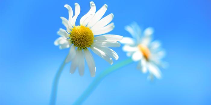 1920x1200 themes - Windows 8.1 update deleted the original Windows 8 Wallpapers -  Super User