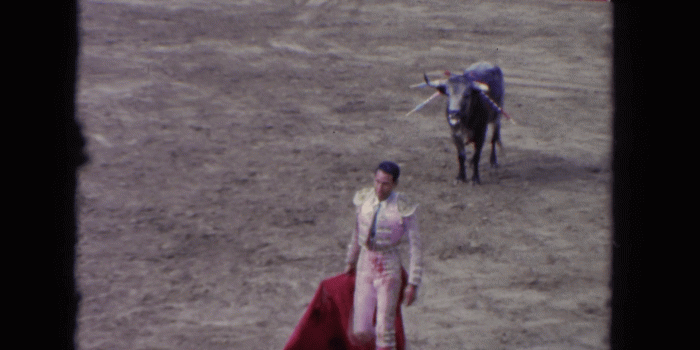 1920x1080 1962: one angry bull they are angry when they see red colour and they are  dangerous as a hell SAN PEDRO, CALIFORNIA Stock Video Footage - Storyblocks 