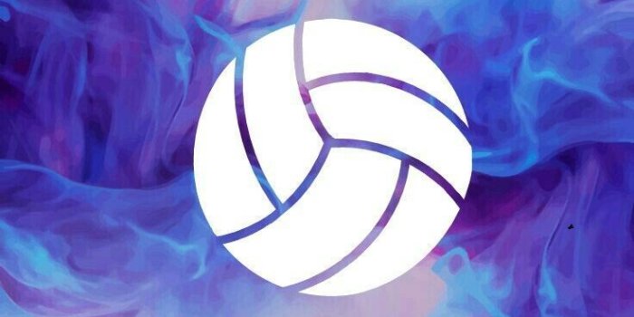 736x1308 basketballfacts | Nice logos/quotes/pictures | Volleyball