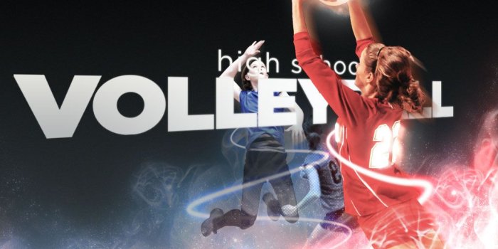 1024x768 49+] Free Volleyball Wallpapers and Backgrounds on WallpaperSafari