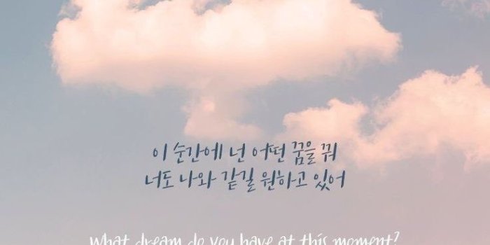 736x1309 Hd Wallpaper - Kpop Song Lyrics Quotes (#770675) - HD Wallpaper Download