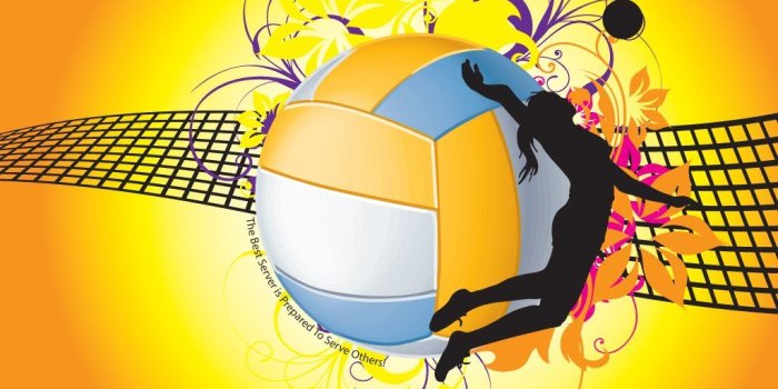 1024x768 My Free Wallpapers - Abstract Wallpaper : Volleyball