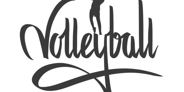 1250x1250 Free Volleyball, Download Free Clip Art, Free Clip Art on Clipart