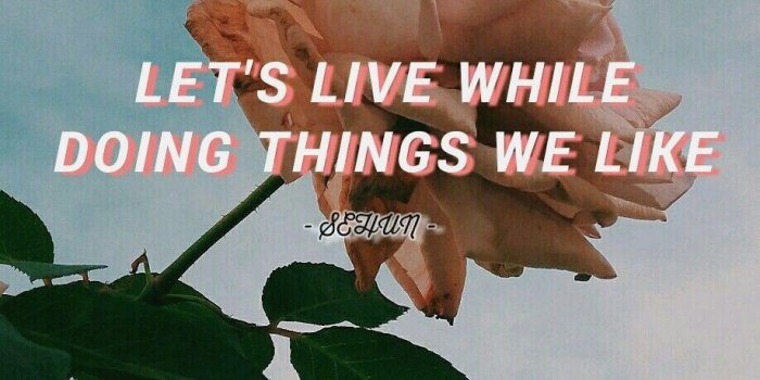 918x1632 10 Exo Wallpaper Quote - Download Wallpaper HD For PC Computer & Android